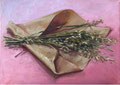 Bosje haver - 50x70cm - oilpaint on canvas - 2020 - Available