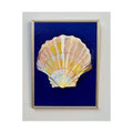 Sint Jacobs schelp - 24x18cm - oilpaint on wood - 2024 - Available