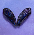 Mini zaagje 2 - 10x10cm - oilpaint on canvas - 2023 - Available