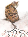 梅と猫