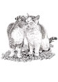 猫とクローバー