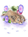 犬と朝顔