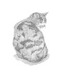 デジタルペン画猫