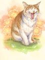 コスモスと猫
