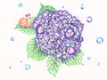 紫陽花とカタツムリ（ジェルボールペン）