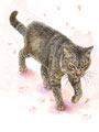桜足跡猫