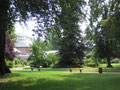 Le jardin botanique et la serre