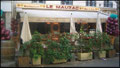 Le Mauzac