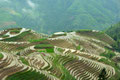 Longsheng Rice Terrace