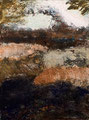 Valley of Fire, 40x30 cm