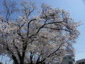 雀宮東小学校