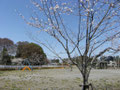 茂原なかよし公園