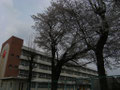 新田小学校