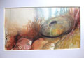 Erizo y caracolas. 30 x 20 cm. 2009. 30 x 16 cm.