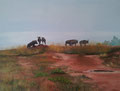 ©  Der Tag erwacht in Swaziland   80x60cm     Öl     1.200€