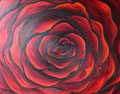 © Die Rose     50x70cm   Ölbild     400€