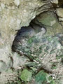 The right hand opening leads to a room with 7 small chambers.