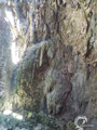 Decorations inside the cave. 