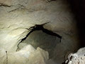 The main room of the cave has 7 small chambers and several big rocks in the centre. 