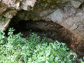 Next to the cave a shallow cellar is located.