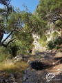 Entrance to the cave.