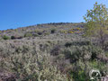 Wider area of the cave.