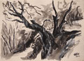 Olive Trees