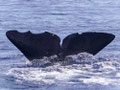 A010_20240929_SAI_IMG_1048