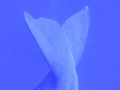 A020_20230913_OKI_20230913-P9130948-2