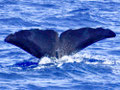 A019_20240907_OTA_LINE_ALBUM_20230907 1420_240925_1