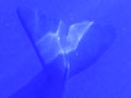 A014_20230722_OKI_20230722-P7220238