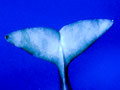 A004_20210712_OKI_A004_P7120044 - 2021-07-12 09-31-18