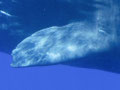 A032_20240906_OKI_20240906-P9060087-2