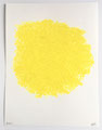 2022-Mimosa.40x30cm