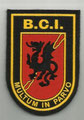 Brigada Central de Intervención / Intervention Central Brigade