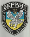 Berkut (SWAT Unit)