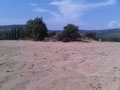 Restauración del vertedero de Bonilla de la Sierra (zona 2)