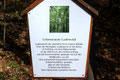 Bild: Seeligstadt Umgebung Wesenitz Rennersdorf 2013