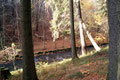 Bild: Seeligstadt Umgebung Wesenitz Rennersdorf 2013