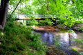 Bild: Seeligstadt Großharthau Park 2018