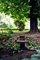 Bild: Seeligstadt Großharthau Park 2018