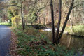 Bild: Seeligstadt Umgebung Wesenitz Rennersdorf 2013
