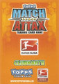 Rückseite einer Trading Card dieser Serie: Variante Clubkarte: Match Attax Traiding Card Game 2010/2011; Topps