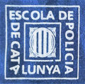 Escut de samarreta (pit) (2001-2008)