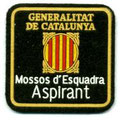Escut de pit d'aspirant a mossos d'esquadra (1985-2001)