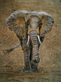Nanda, Pastell auf Baumrinder 45x65,(c)D.Saul 2011,Elefant verkauft