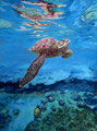 "Honu II", Uart dark 500, (C) D. Saul 2023, SOLD