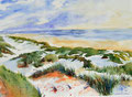 Ostseestrand 40x50cm, (c)D.Saul 2011