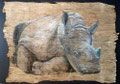 Kleines Schwergewicht, Breitmaulnashorn, 70x100cm Pastell auf Baumrinde,(c)D.Saul,verkauft