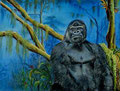 Flachlandgorilla Kisoro,Pastell 50x60cm,(c)D.Saul 2012, Ref. M.Walti